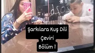 Nil Karaimrahimgil Kuzey yildizi Kuşca &ccedil;eviri😘🐆