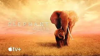 The Elephant Queen &mdash; Tr&aacute;iler oficial | Apple TV+
