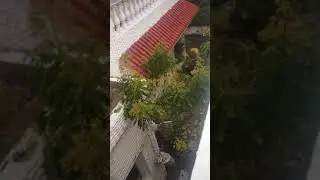 Gulmohar park kothies