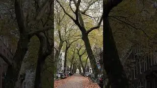 Lomanstraat Amsterdam