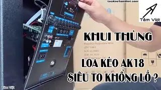 KHUI RUỘT loa kéo SIÊU TO KHỔNG LỒ bass 5 TẤC gỗ | 