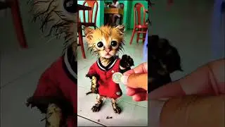 #jdvp #cat #ihavethisthingwithplants #funnycartoon #cartooncat #funny #cartooncharacter