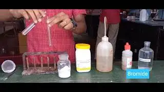 Salt Analysis 11th Chemistry Practical - Ammonium Bromide