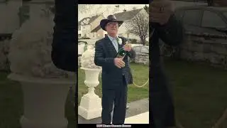 Beautiful wedding highlight