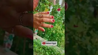 how to apply nail paint perfectly 🥰#viral #nails #youtube #youtuber
