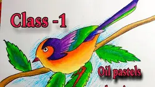 Class -1  How to make Easy Bird Drawing in  oil Pastel  Colour /  Step by step for beginners #arts