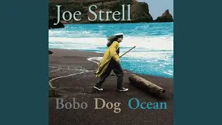 Bobo Dog Ocean