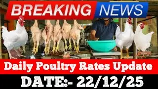 Today Poultry Rate | Broiler Live Price | Chicken Mandi Bhav | #poultrybusiness #villagebusiness 