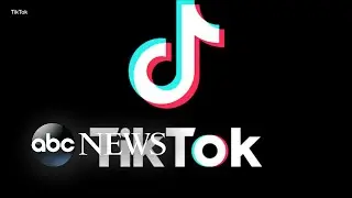 TikTok is internet&rsquo;s most-visited site in 2021 l ABC News