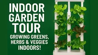 Indoor Garden Tour: Growing Greens, Herbs & Veggies Indoors!