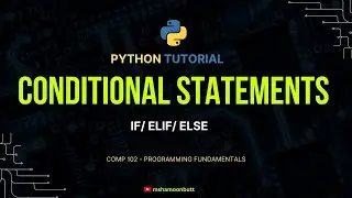 If / Else Statements In Python || Conditional Statements || Python Tutorial 2024 || Shamoon Butt