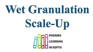 Wet Granulation Scale Up