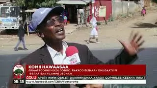 Komii Hawaasaa Bulchiinsa Magaalaa Kolooboo