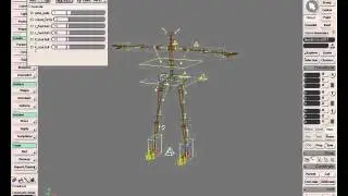 Animation: Proportional guide