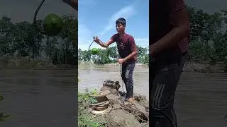 Amazing Secret Bait Fishing in River