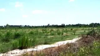 Homes for Sale - Willie Rd. 30 Acres Iowa LA 70647 - Darrell Carriere