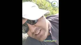 khowar adab awr raqeeb