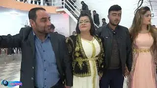 حفلة زفاف جان دوست وخانم بتاريخ 25/3/2021 حفلة حلنج#فيديو فرهاد0933130464