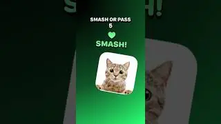 when others is ugly you pass is someone is beautiful go to smash like...