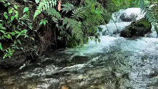 Natural River Sounds for Sleeping Meditation Relaxation Stress Relief Peaceful Mind Nature