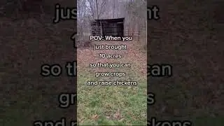 Bought 10 Acres