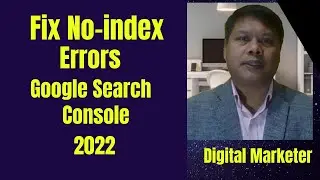 How to fix No index error in Google Search Console