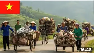 Discover the B&igrave;nh Lư highland market in Vietnam, home to many ancient ethnic groups.