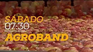 [BAND RS] - Chamada do programa AgroBand, com Filipe Peixoto - 13/01/2018