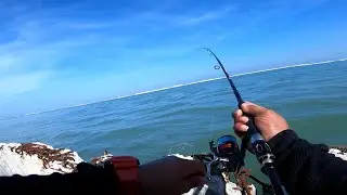 Ang Laking Grouper (Lapu Lapu) nabingwit sa BFAR DAGUPAN CITY