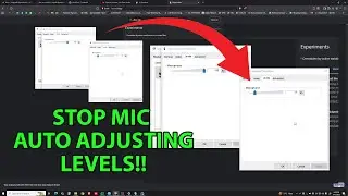 How to stop mic from auto adjusting level in win 10
