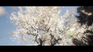 AMV- (NO BITADAO)