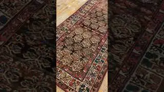 Kurdish Rug #19073 -*