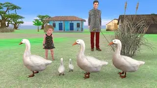 Live  Funny Video
