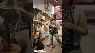 Значение бизонов в резервации Флэтхед