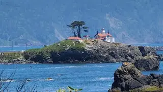 Tour of my place - Del Norte County,  California (Part 1)