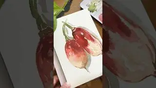 Watercolour Painting: How to Paint a Radish | Botanical Art | Satisfying Video #painting