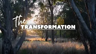 Transforming Nature into a Campground Haven