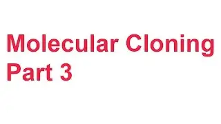 Tutorial 2: Cloning Part 3 (Tm check, agarose gel confirmation, PCR purification)