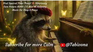 Viral! 🌰 Squirrel Piano ASMR 🎹 (12 Min 4K Relaxing Music for Sleep & Focus)