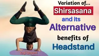 Salamba Shirsasana- The king of all asana | Alternative to Shirsasana (Headstand)|  benefits & step
