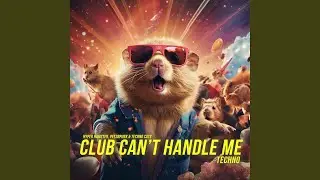 Club Can't Handle Me