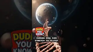 Human DNA Can Stretch From The Sun to Pluto And Back? 🌌🧬