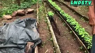 Don merejildo  pequeño  emprendedor  en el Londres santa Rita copan