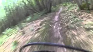 Kingswood Ashford MTB