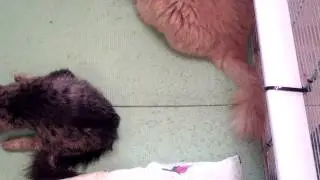 20140922 105911