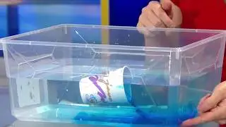 Meteorologist Danielle Dozier shows how and why warm air rises and cold air sinks