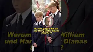 Warum gingen William und Harry hinter Dianas Sarg her? #phillips #diana #britishroyals #fyp #foryou