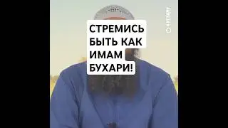 46. Стремись быть как имам Бухари! #Shorts Ринат Абу Мухаммад