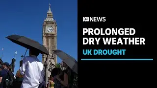 UK declares drought in parts of England | ABC News