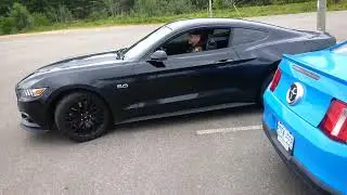 V6 Mustang vs V8 Mustang Rev Battle!